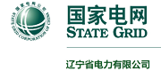 遼寧電力有限公司