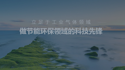 北大先鋒（中文站）