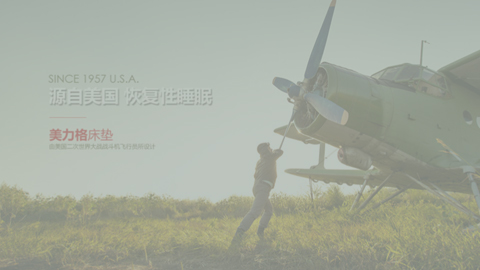 雅蘭集團(tuán)-美力格